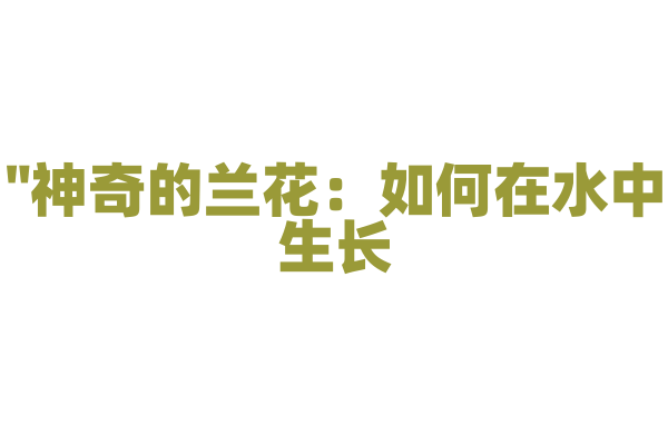 "神奇的兰花：如何在水中生长？"